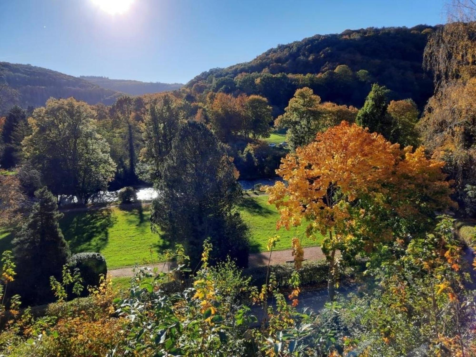 Ferienhaus &#039Freund Am See&#039 1 Heimbach Buitenkant foto