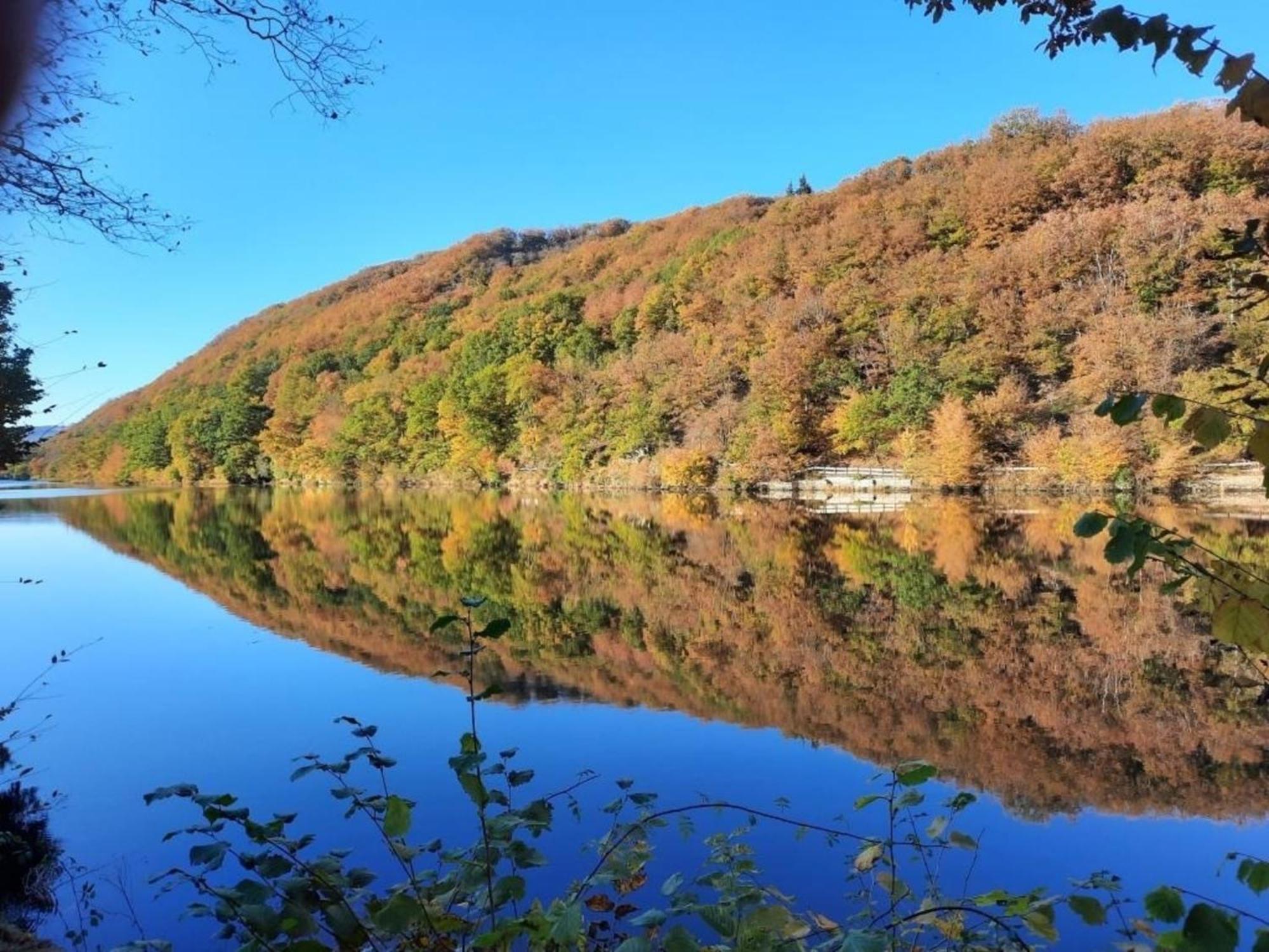 Ferienhaus &#039Freund Am See&#039 1 Heimbach Buitenkant foto
